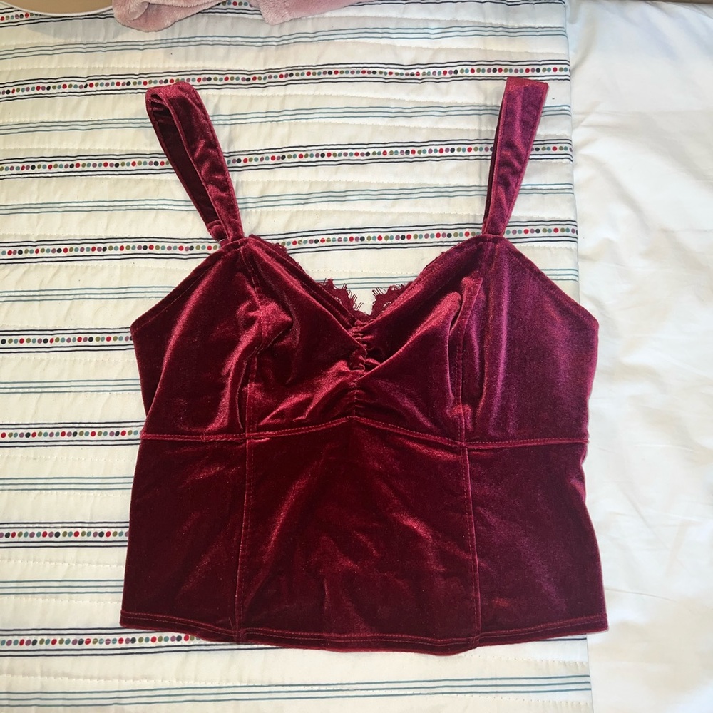 Abercrombie Velvet Cropped Tank.